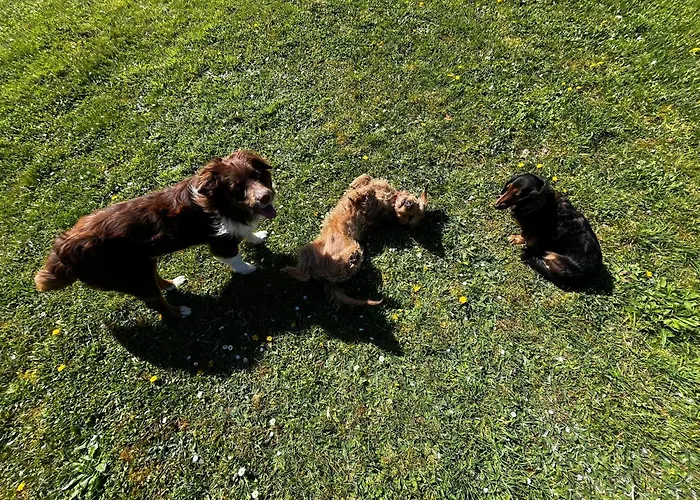 La P'tite Place Les Arques