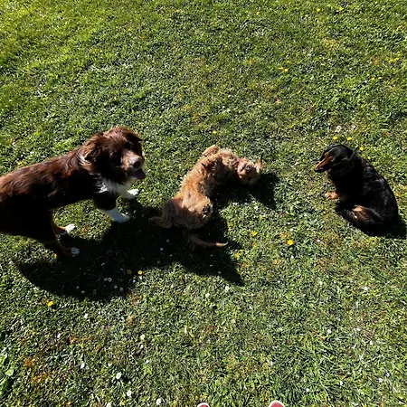 La P'tite Place Les Arques