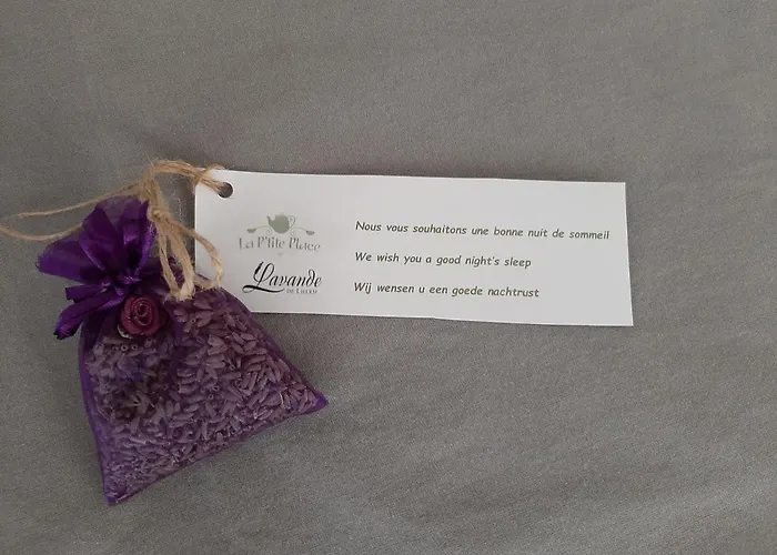 Гостевой дом La P'tite Place